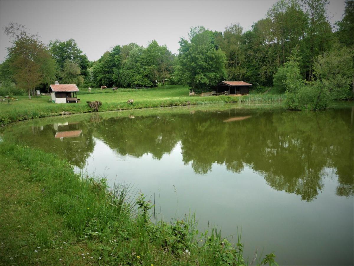 Ferienwohnung In Der Rhoen Willmars Екстериор снимка